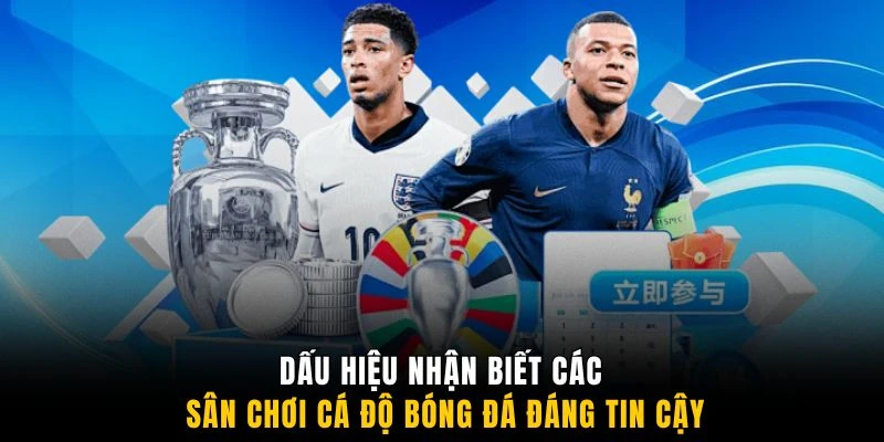 Dấu hiệu nhận biết các sân chơi cá độ bóng đá đáng tin cậy